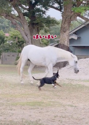 「一緒に遊ぼう!」