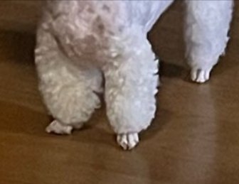 パンツ