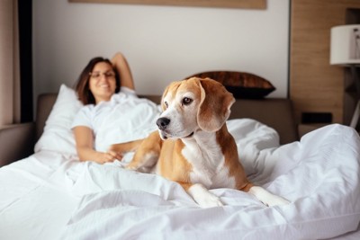 ベッドでくつろぐ犬と女性
