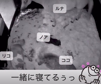 みんな集まってる!!