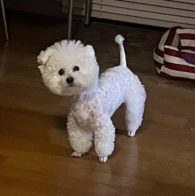 綿棒