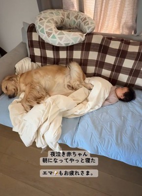 エマちゃんがついていてくれる♡