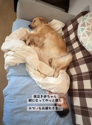 ふたりの寝顔が活力に…