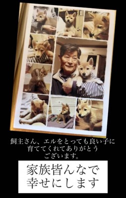 犬と人の思い出の写真