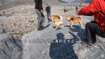 ソラくんまで!?