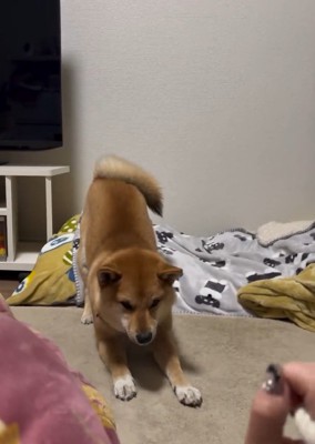 外れた輪ゴム