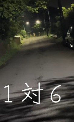視線の先には…