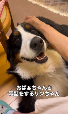「オヤツ」の一言で笑顔に♪