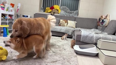 全身でうにくんを制止！！