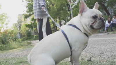 帰る気ゼロ！