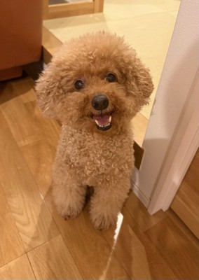 笑顔