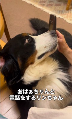「おばあちゃんの声がする!?」