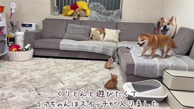 うにくんが飛び入り参加！？