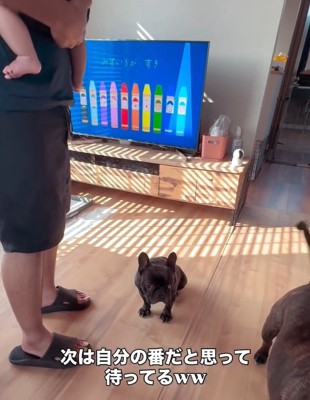 健気に待つドムくん