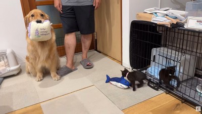 「一緒に遊ぼう!」