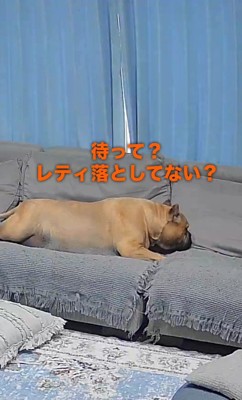 まだ食べ足りない!?