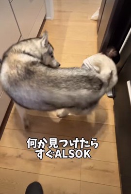 「どこ行くの?」