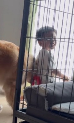 おもちゃの車に乗りながら、笑顔でカメラにふり返る男の子
