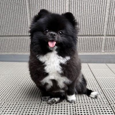秘密