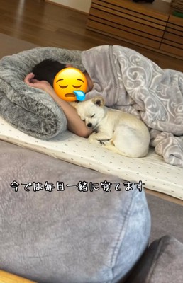 パパと眠るソラくん1