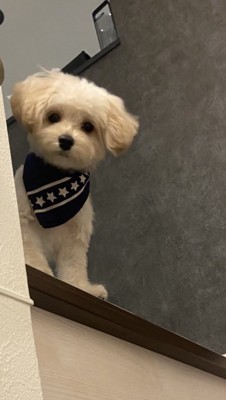 じーっ…