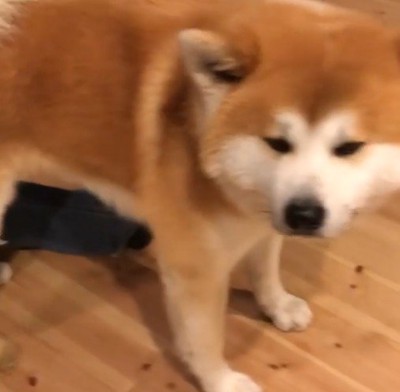 初めは困惑していたけど…