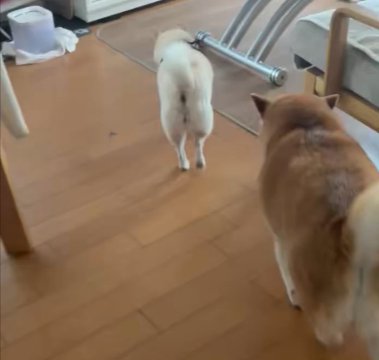 一緒