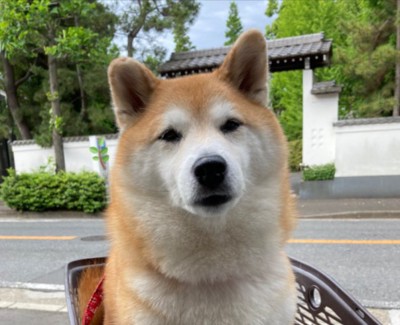 実は