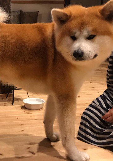 ストッキングを履かせたら…