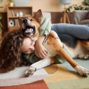 犬から『いいニオイ』がする理由5選　いつもと違う臭いがする場合は要注意？病気の可能性まで