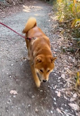 山でハイキング中♪