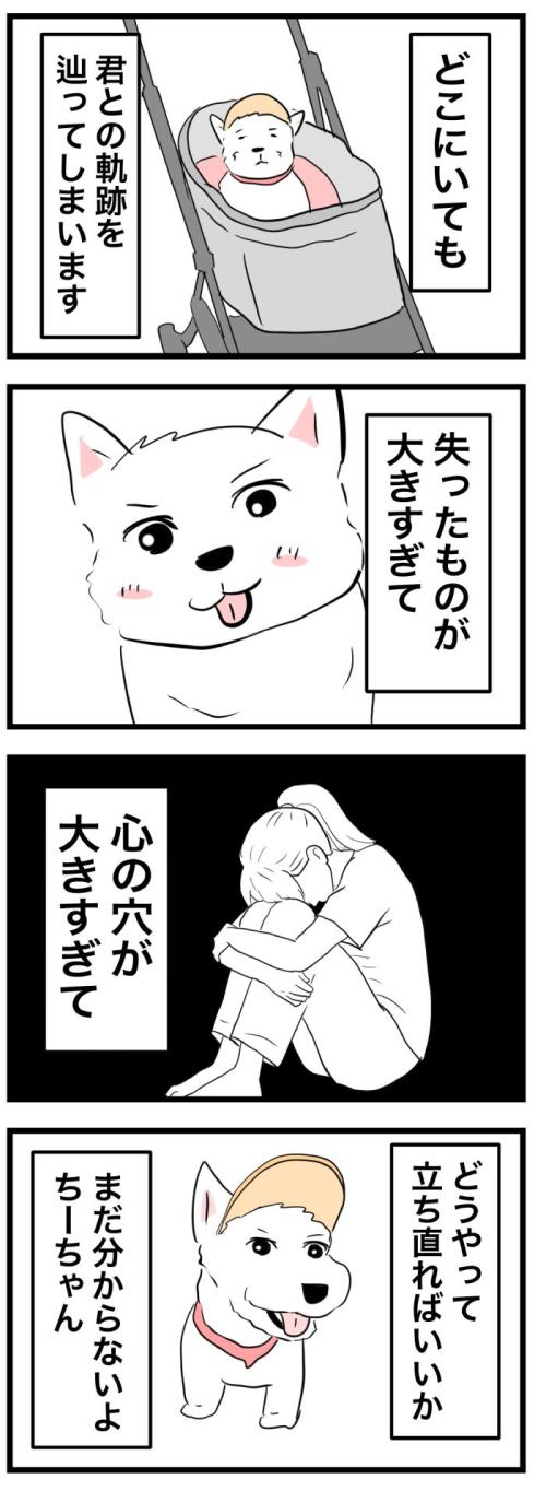 ちーちゃんですけどもっ【第375話】 2