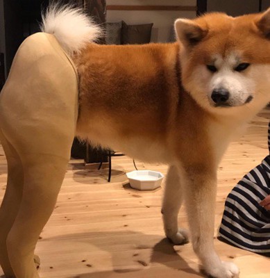 あまりに美脚…!!
