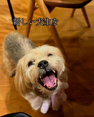 笑顔のまるるちゃん
