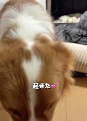 ママに「パパ起きたよ」の報告中