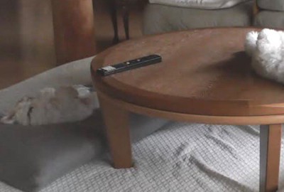 テーブルの上に何かが？？
