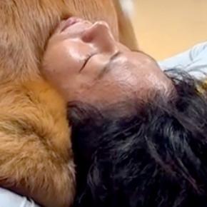 パパが起きないので、犬に『起こして』とお願いした結果→『優しく起こすかな』と思ったら…まさかの光景が42万再生「幸せな起こされ方」「天国」