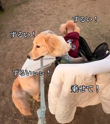 「一緒に乗りたい!」