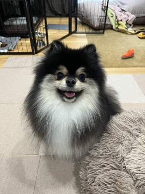 ニパッ