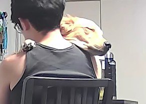 微笑ましい2人でした