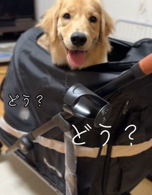ついに念願が叶ったよ!!