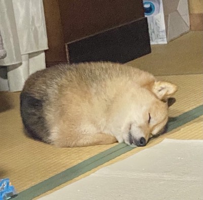 まん丸