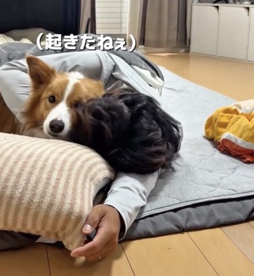 ママに目配せ