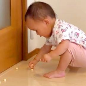 イヤイヤ期の赤ちゃんが『おやつ』を床にぶちまけた結果→一生懸命拾う姿を、犬が…母親のような光景に反響「偉すぎ」「うちだと食べに行くｗ」