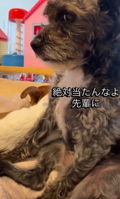 「先輩を怒らせるなよ…?」と警戒中