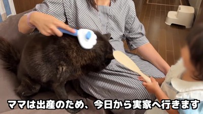 一休さんのブラッシング