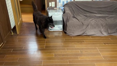 なかなか落ち着かない…