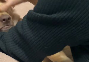 母に撫でられたら…