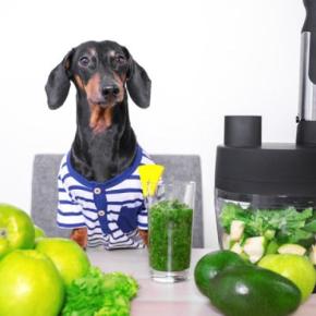犬は『野菜ジュース』を飲んでも大丈夫?市販のモノは危険?誤って摂取した場合のリスクまで