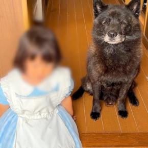 1歳の女の子が『犬と10日間離れることになった』結果→玄関で『お別れ』をしようとすると…泣ける反応が37万再生「涙出た」「離れたくないね」